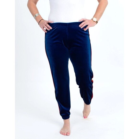 AVIATOR NATION Striped Velvet Velour Jogger Sweatpants Blue Women's XL 5 Stripe - Picture 2 of 6